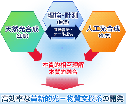 革新的な高効率光—物質変換系の開発